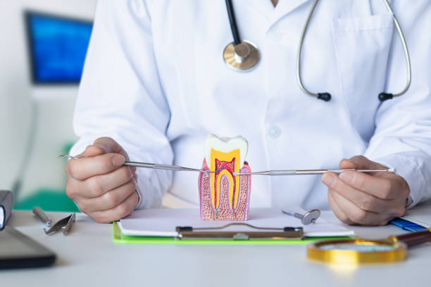Best Dentist for Tooth Abscess  in Garrettsville, OH